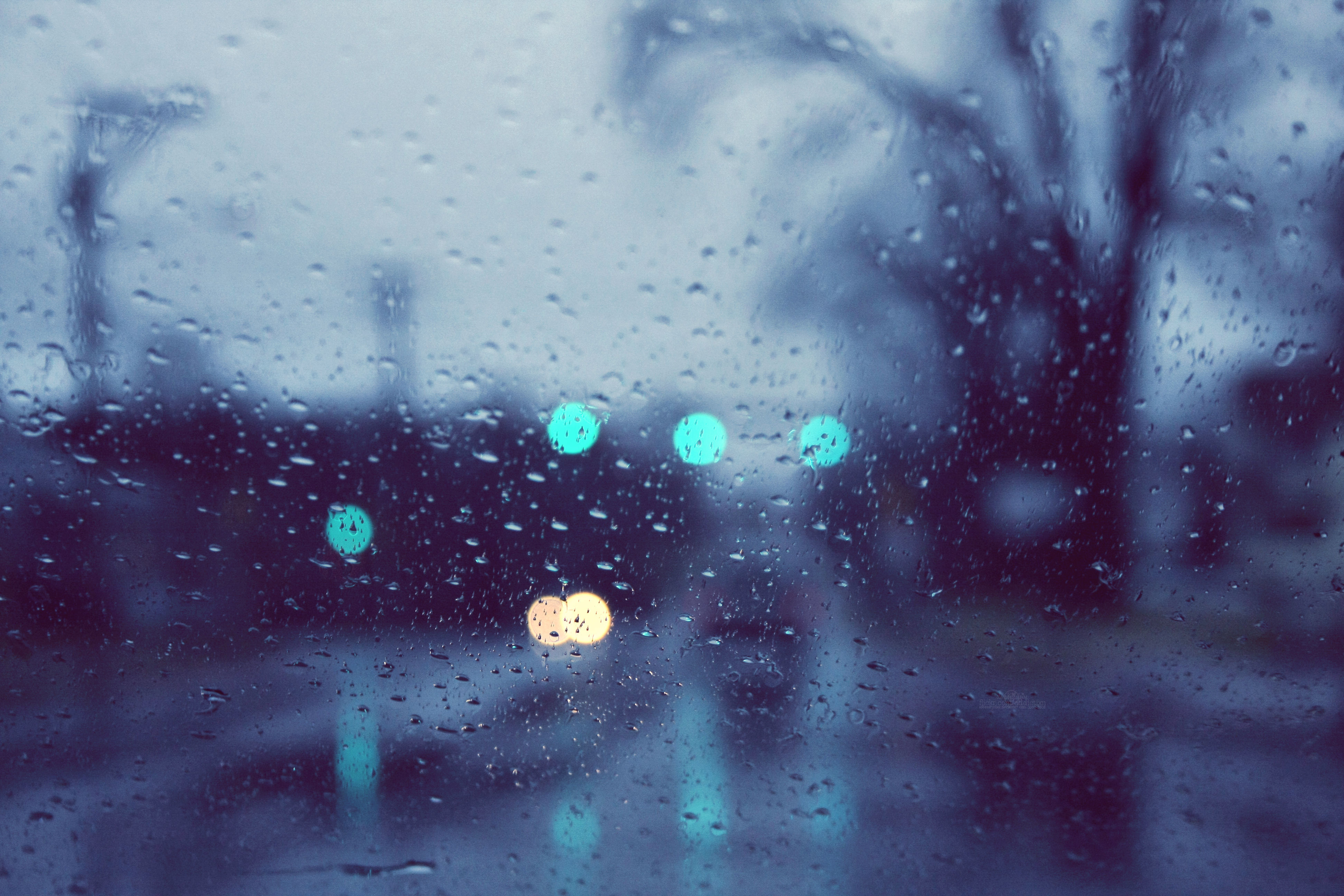 rainyday