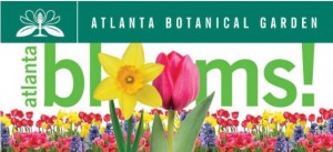 atlanta-blooms-568x260