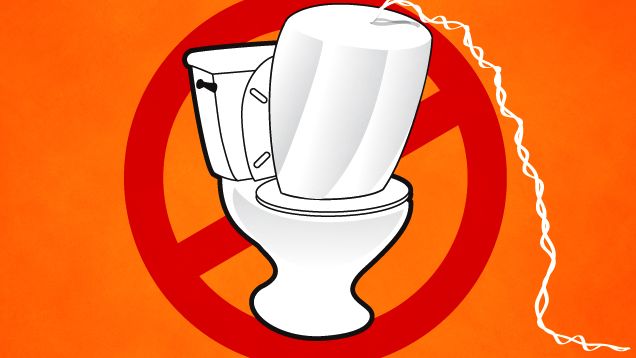 PSA: Flush with care or not at all - The