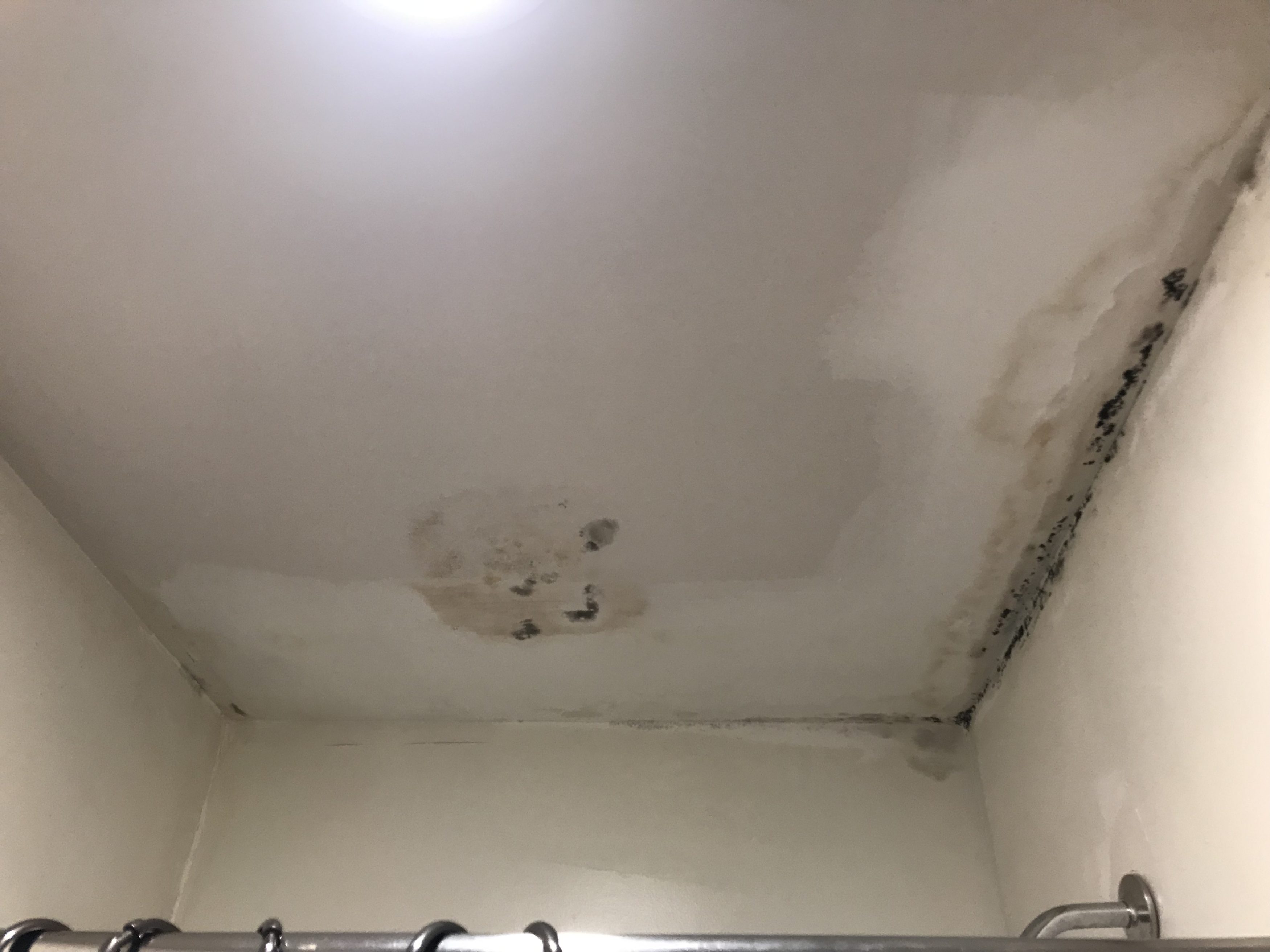 Mold Inspection and Removal