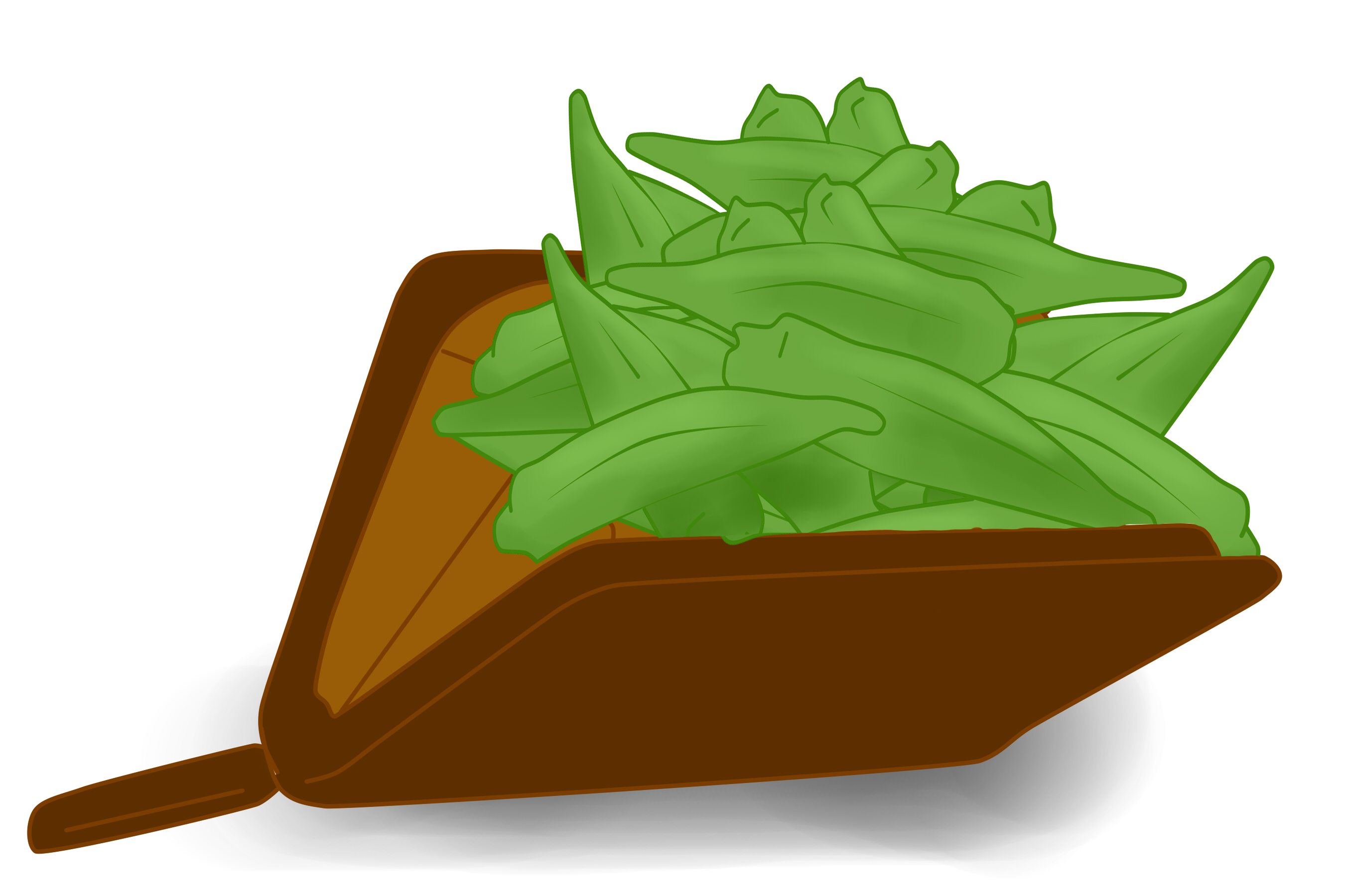 SIGNAL 9-24 okra