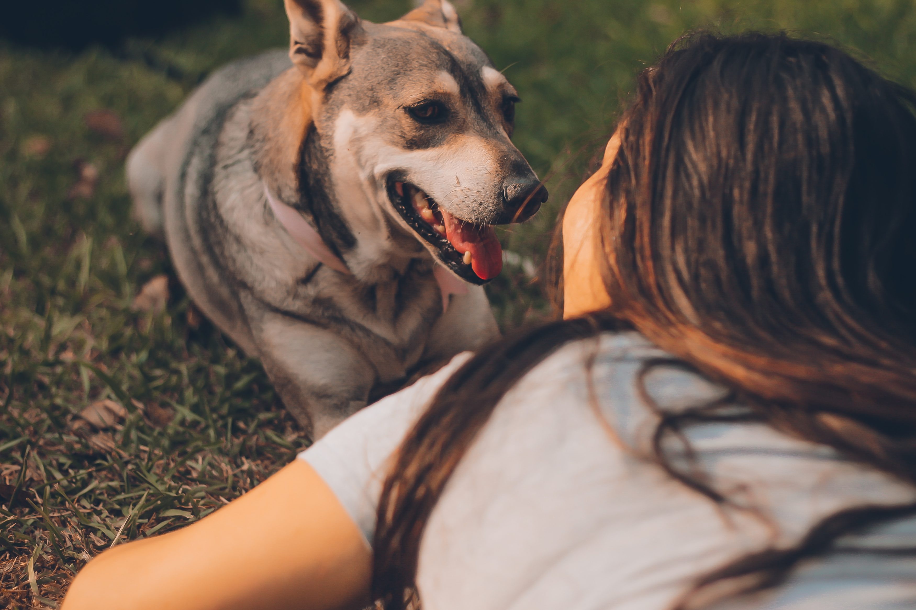 manuel-meza-jYxNsyxoKJ4-unsplash
